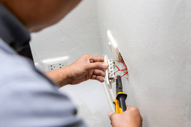 Best Electric Panel Repair  in Verona, WI